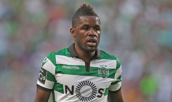 波多野视频